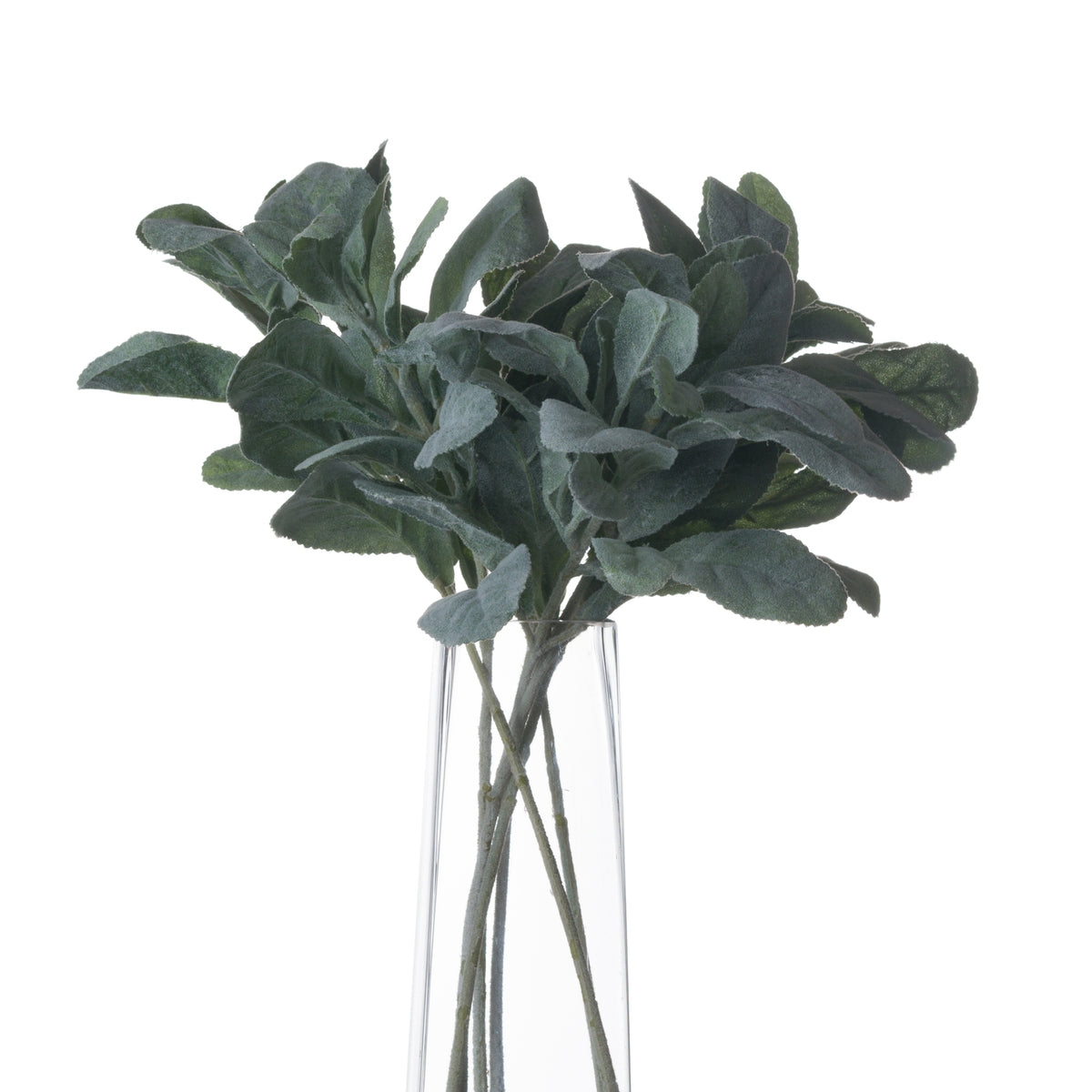 Lambs Ear Spray - image 3