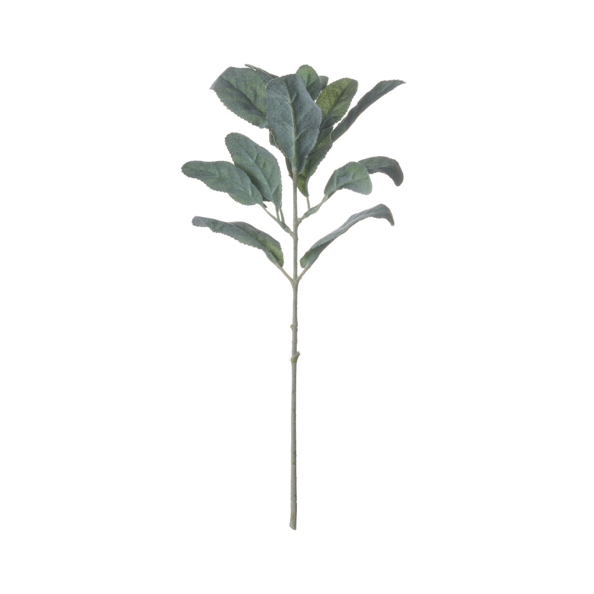 Lambs Ear Spray - image 5