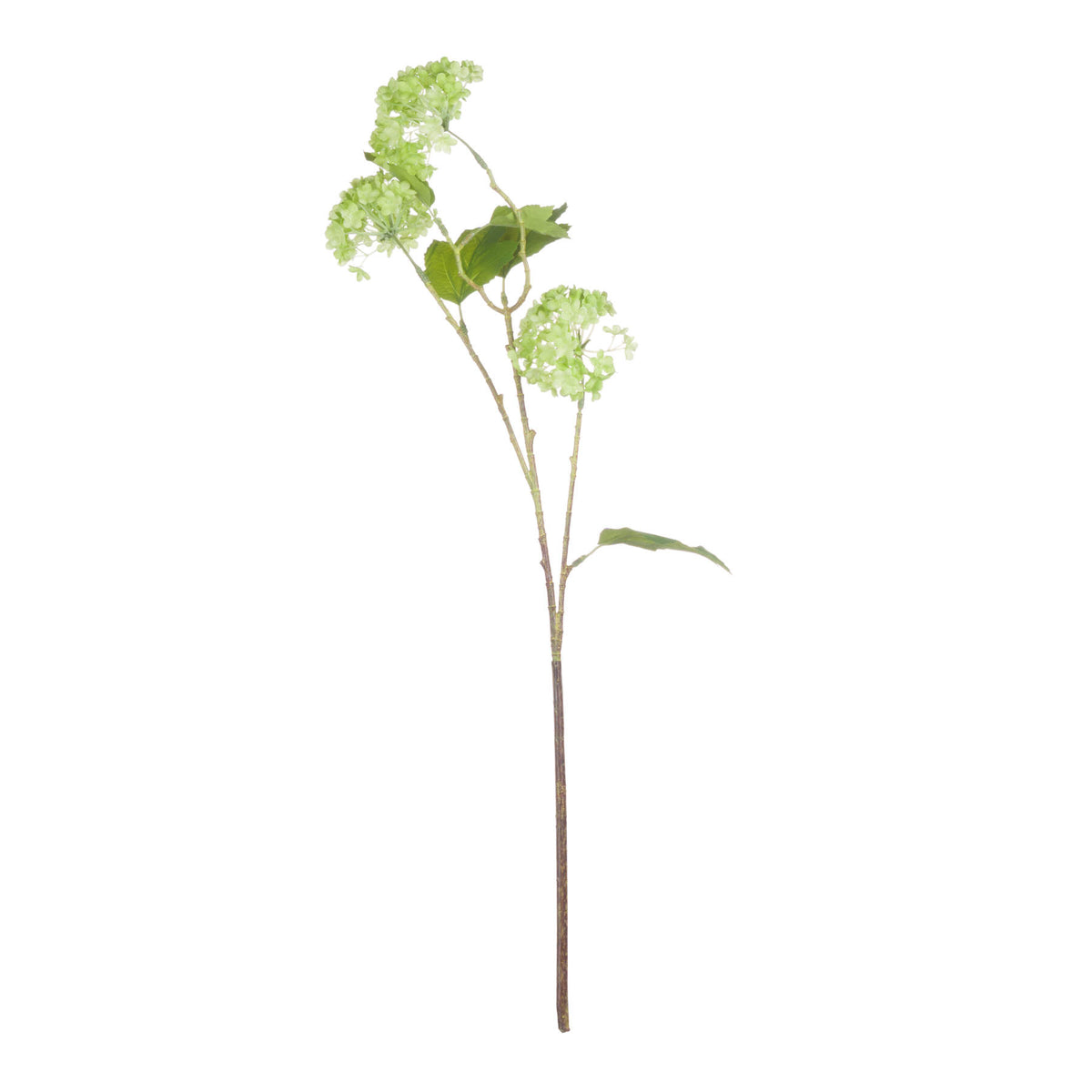 Green Viburnum Spray - image 4