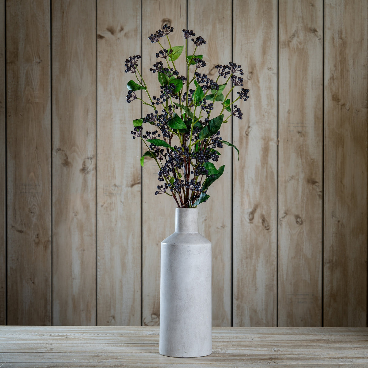 Viburnum Berry - image 2