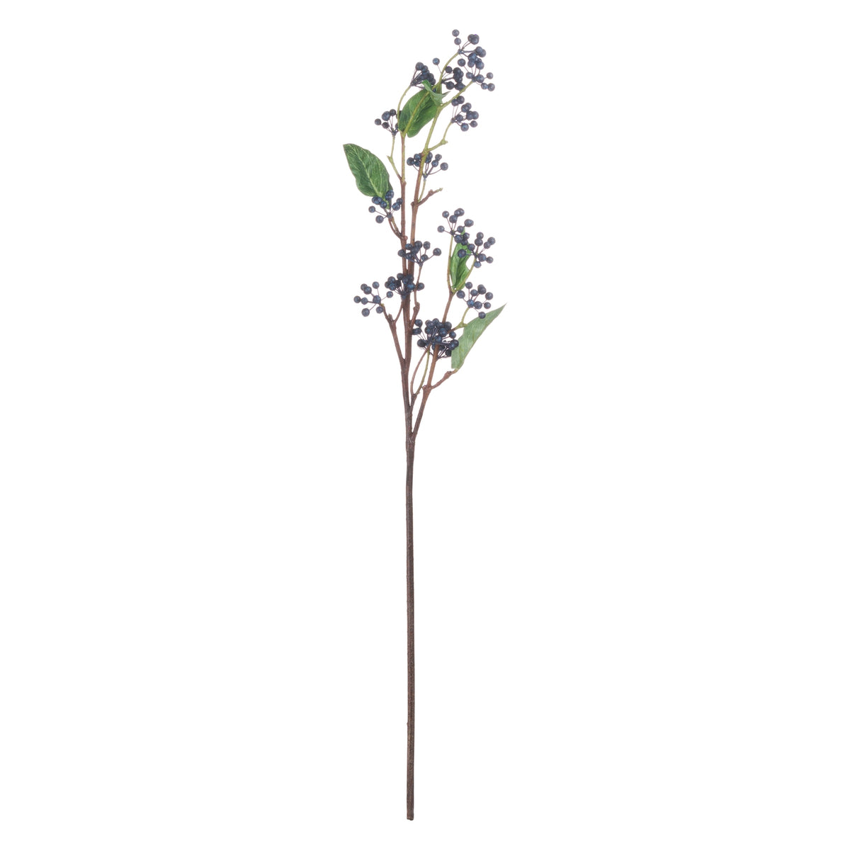 Viburnum Berry - image 5