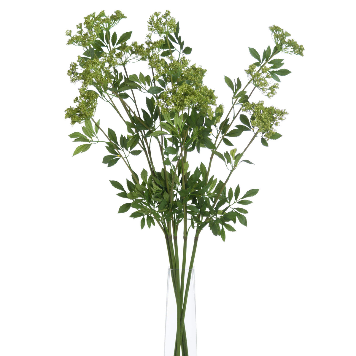 Faux Cow Parsley Ammi - image 3
