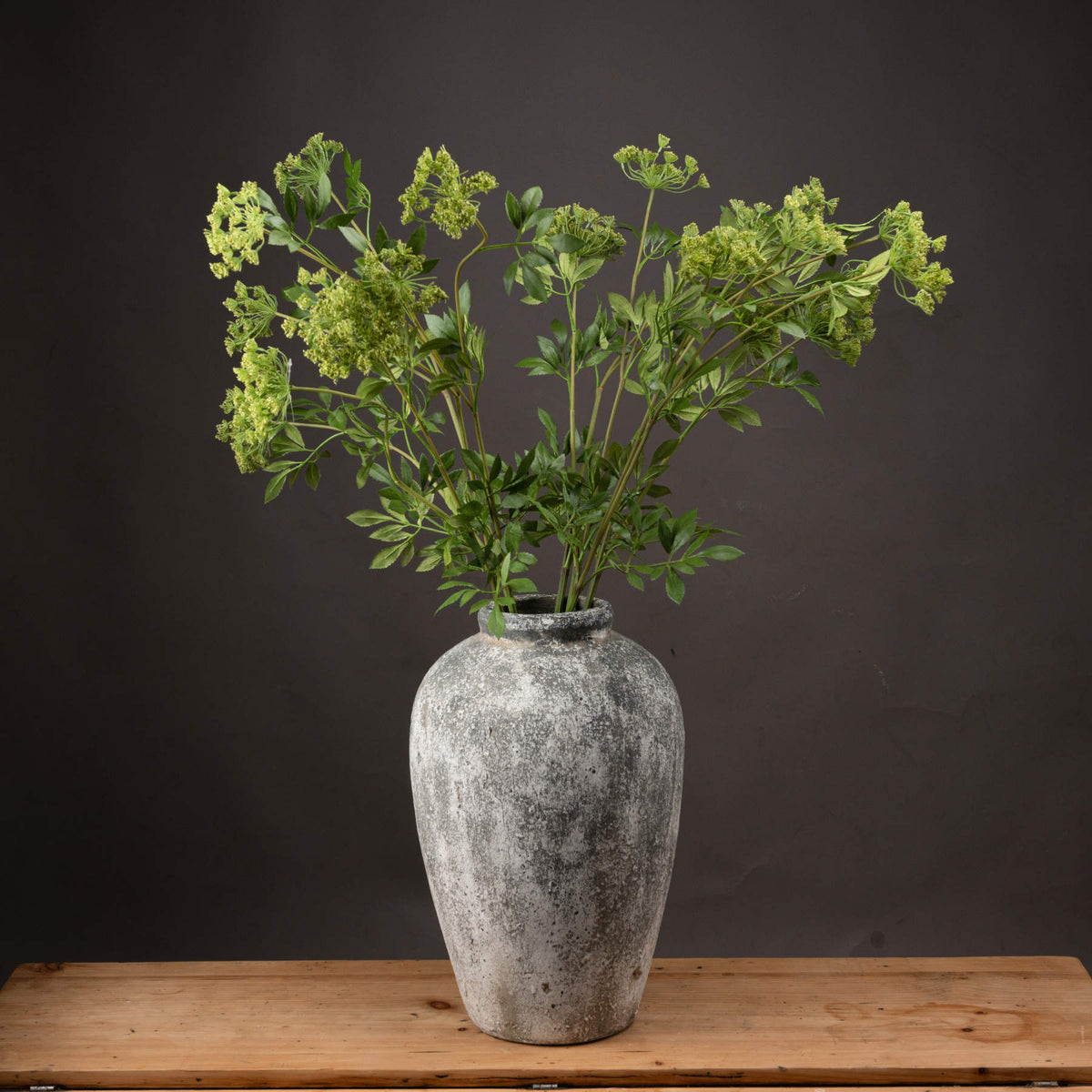Faux Cow Parsley Ammi - image 1