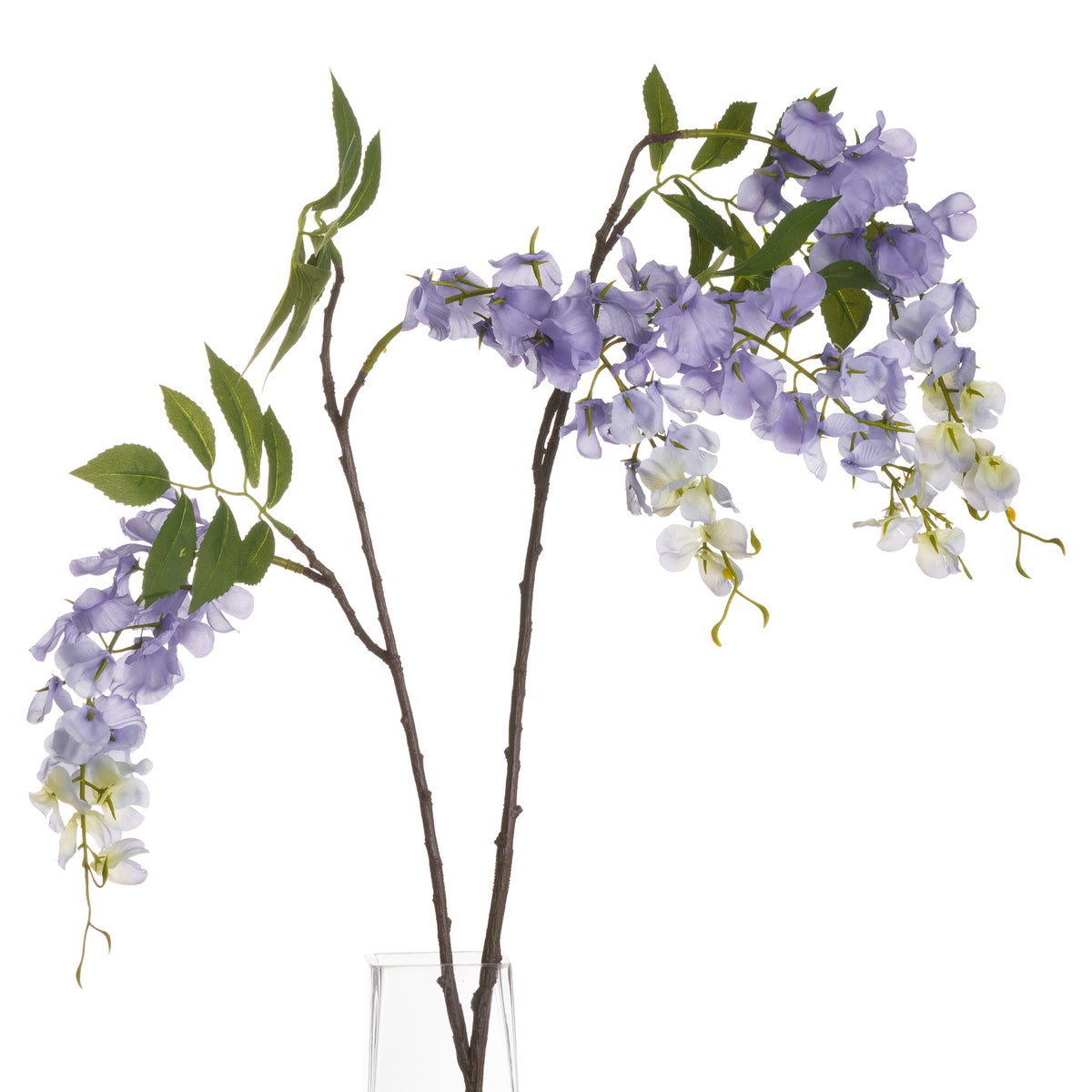 Lilac Wisteria - image 3