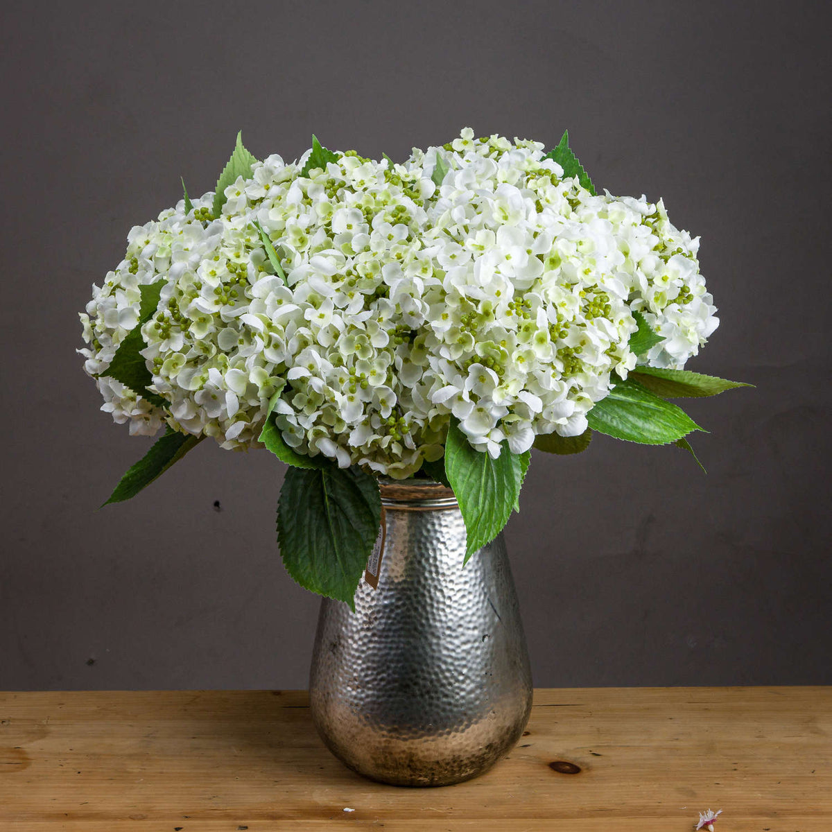 White Lace Cap Hydrangea - image 1