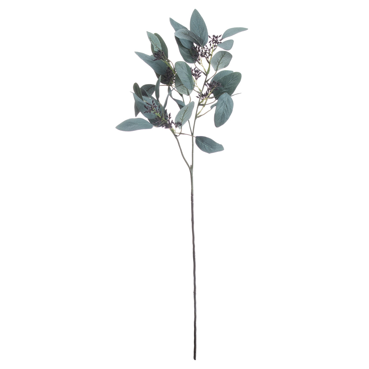 Seeded Eucalyptus Stem - image 3