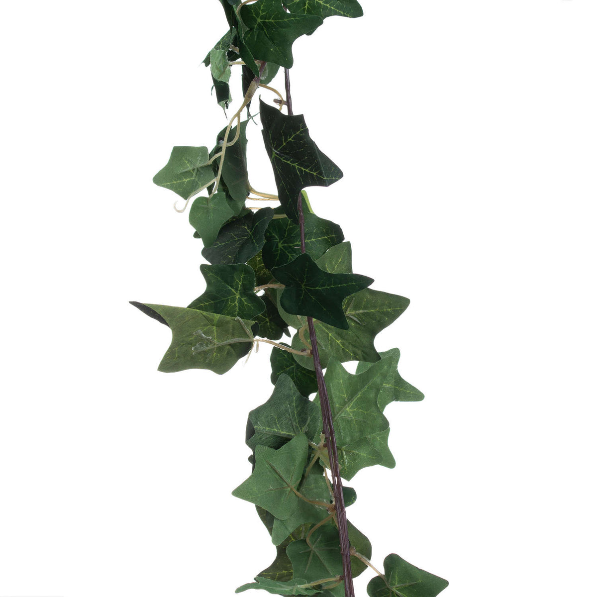 Ivy Garland - image 2