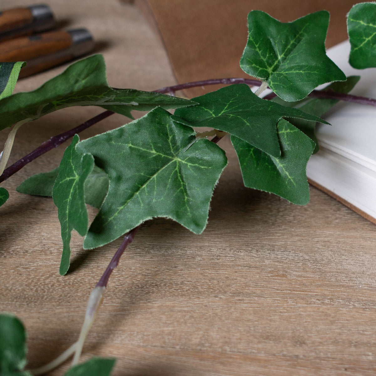 Ivy Garland - image 4