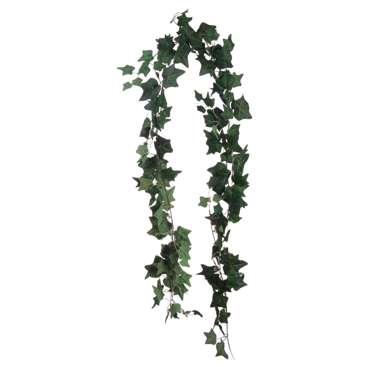 Ivy Garland - image 1