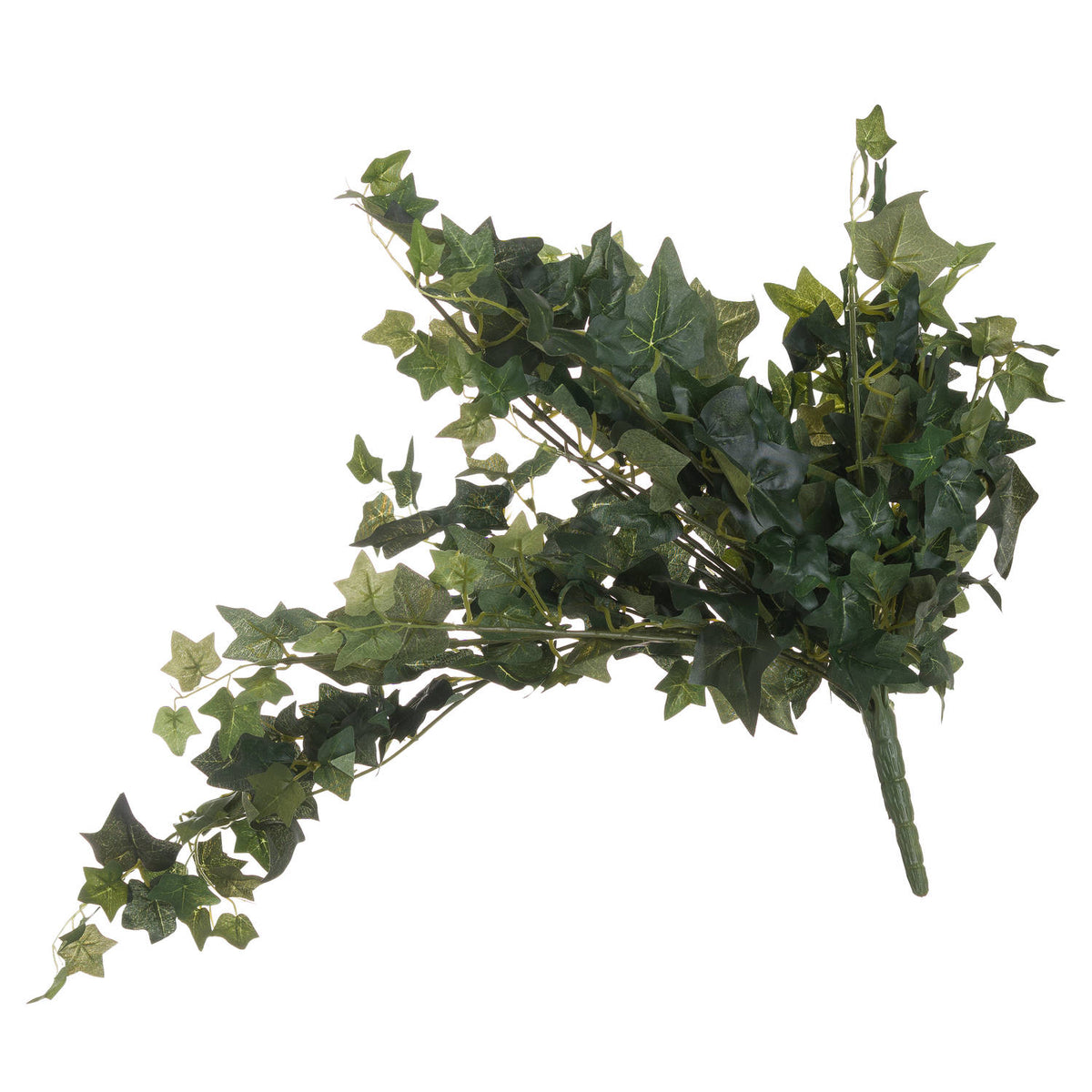 Ivy Pick - image 1