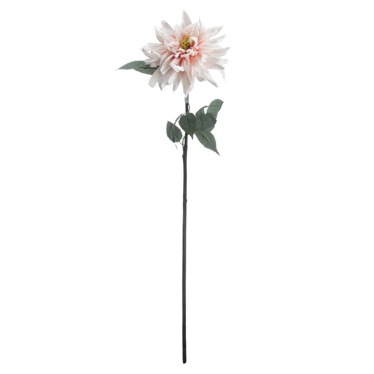 Lush Pink Dahlia - image 4