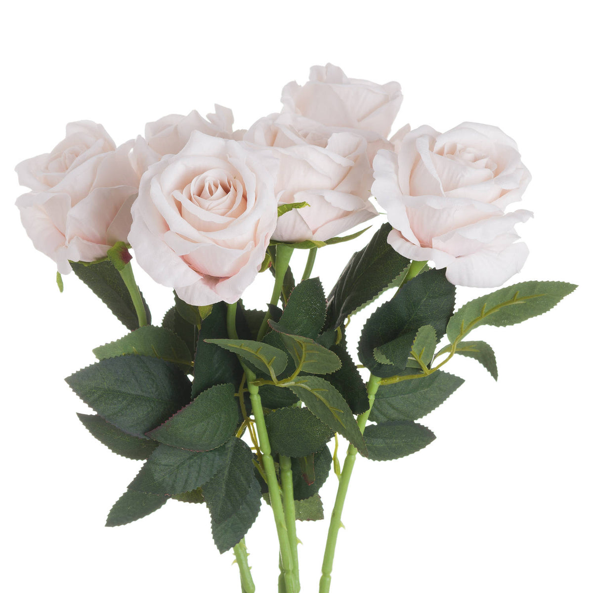 Pastel Pink Tea Rose - image 1