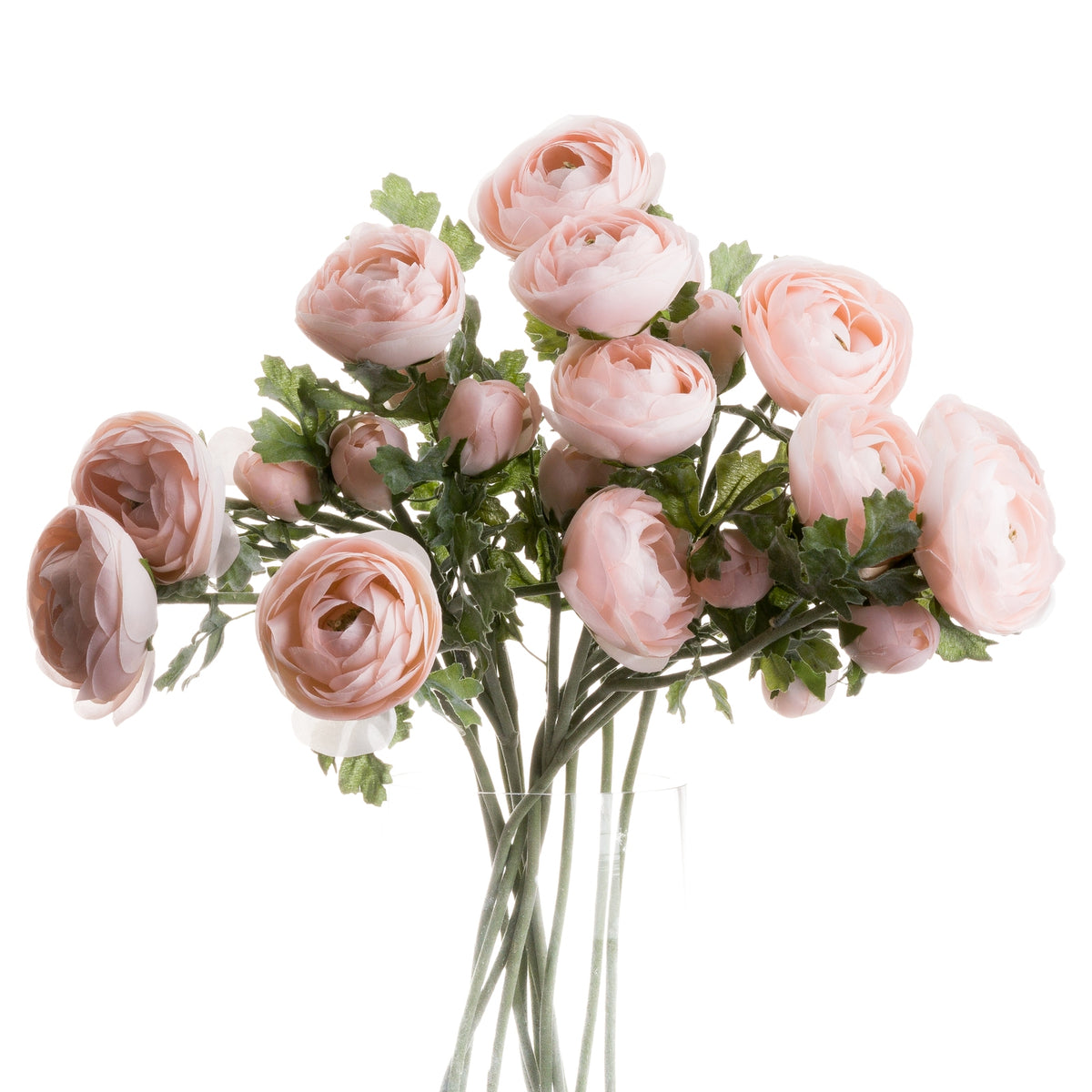 Pastel Pink Ranunculus - image 3