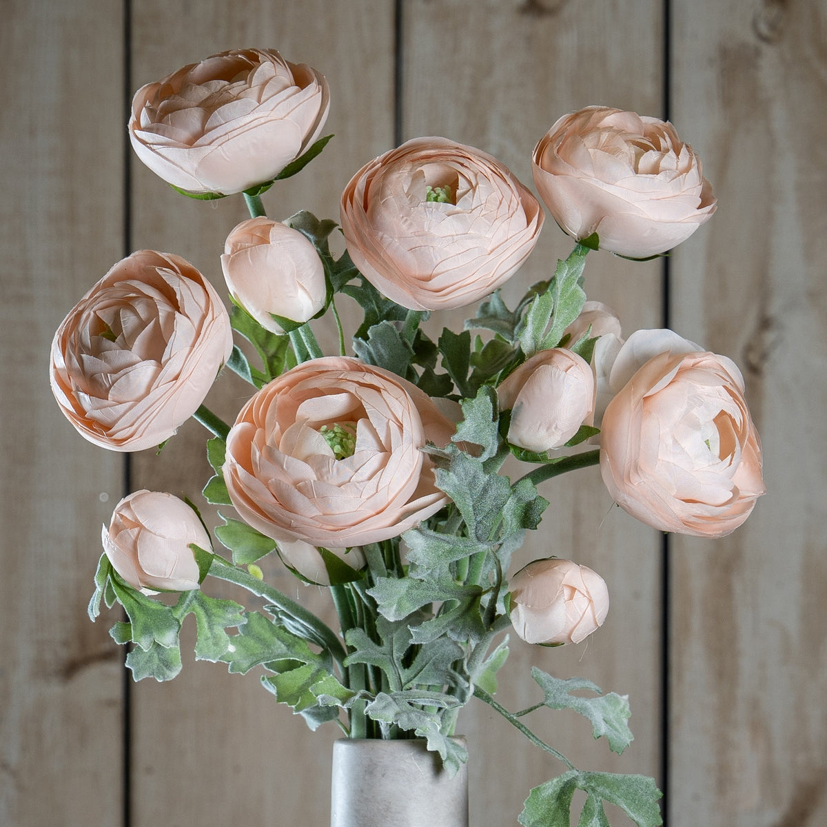 Pastel Pink Ranunculus - image 1
