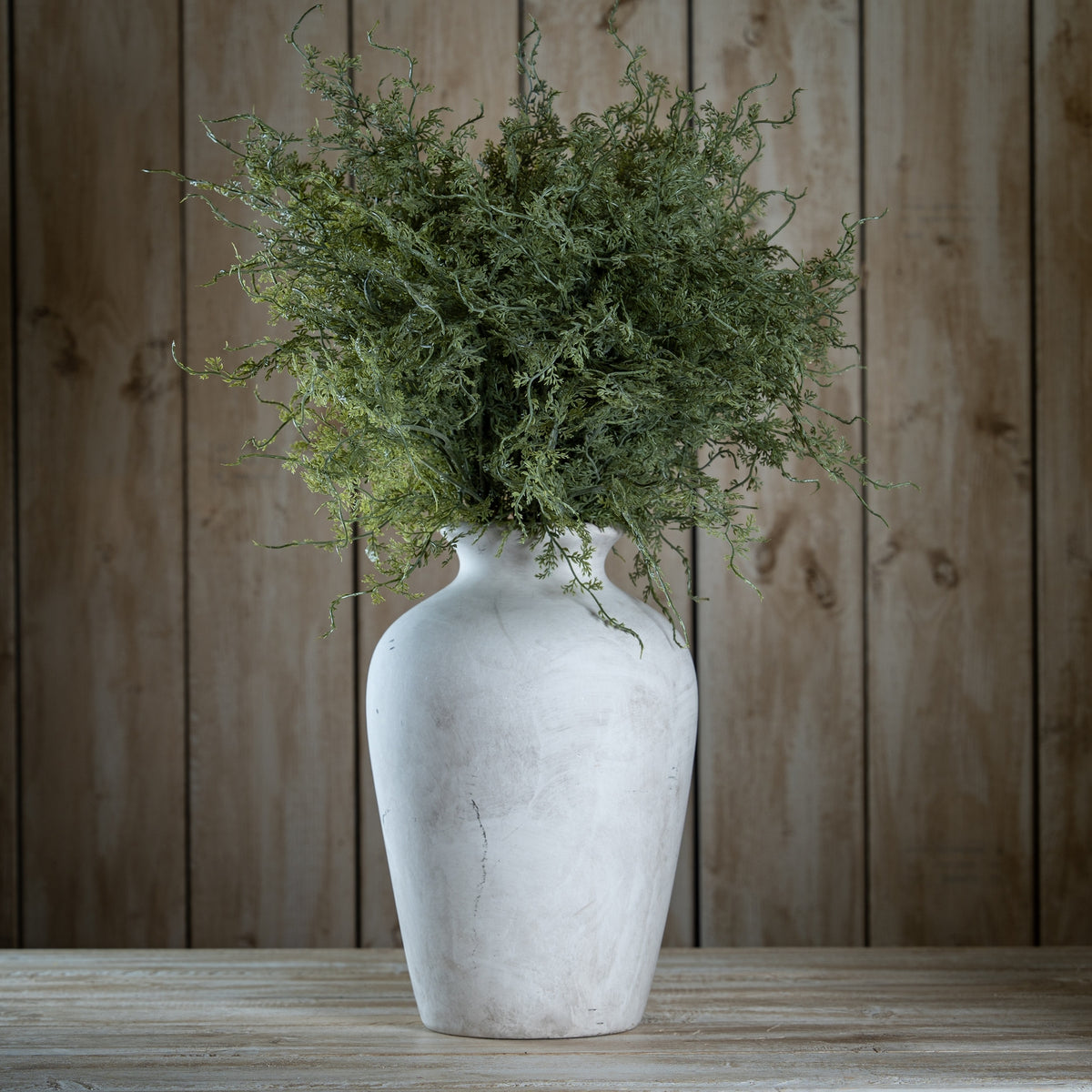 Asparagus Fern Bunch - image 2