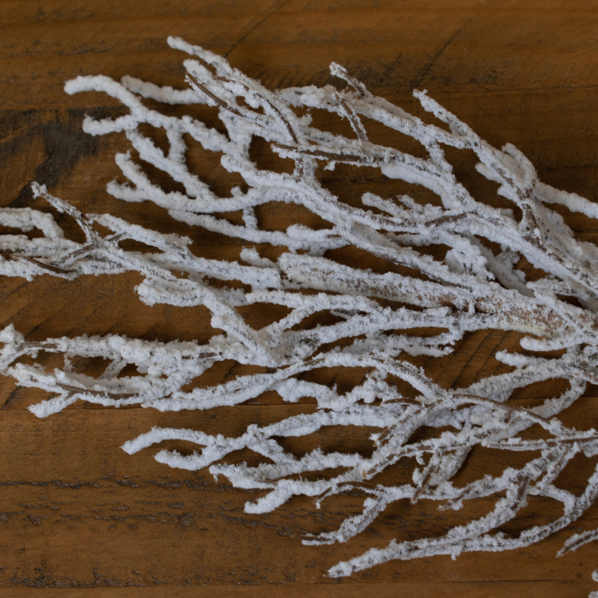 Snow Covered Branch - image 2