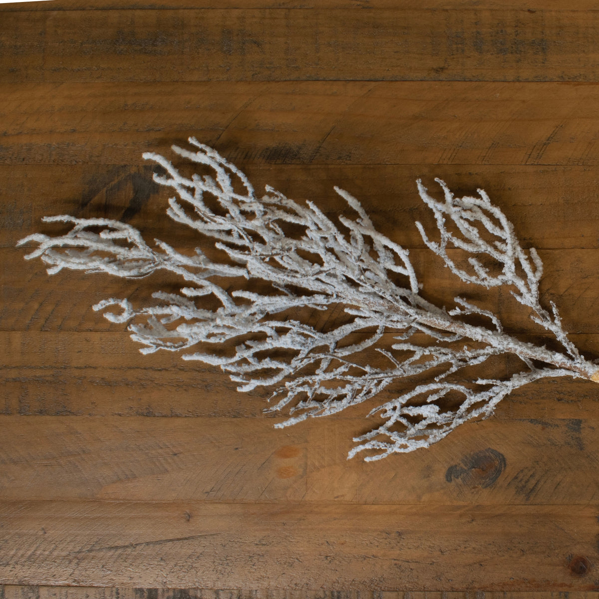 Snow Covered Branch - image 1