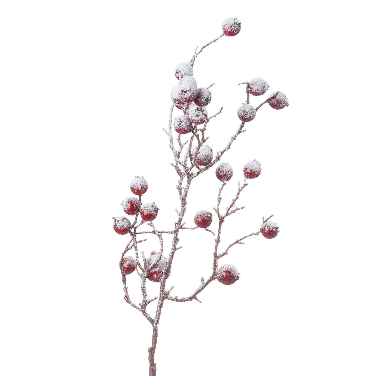 Large Red Festive Berry - image 3
