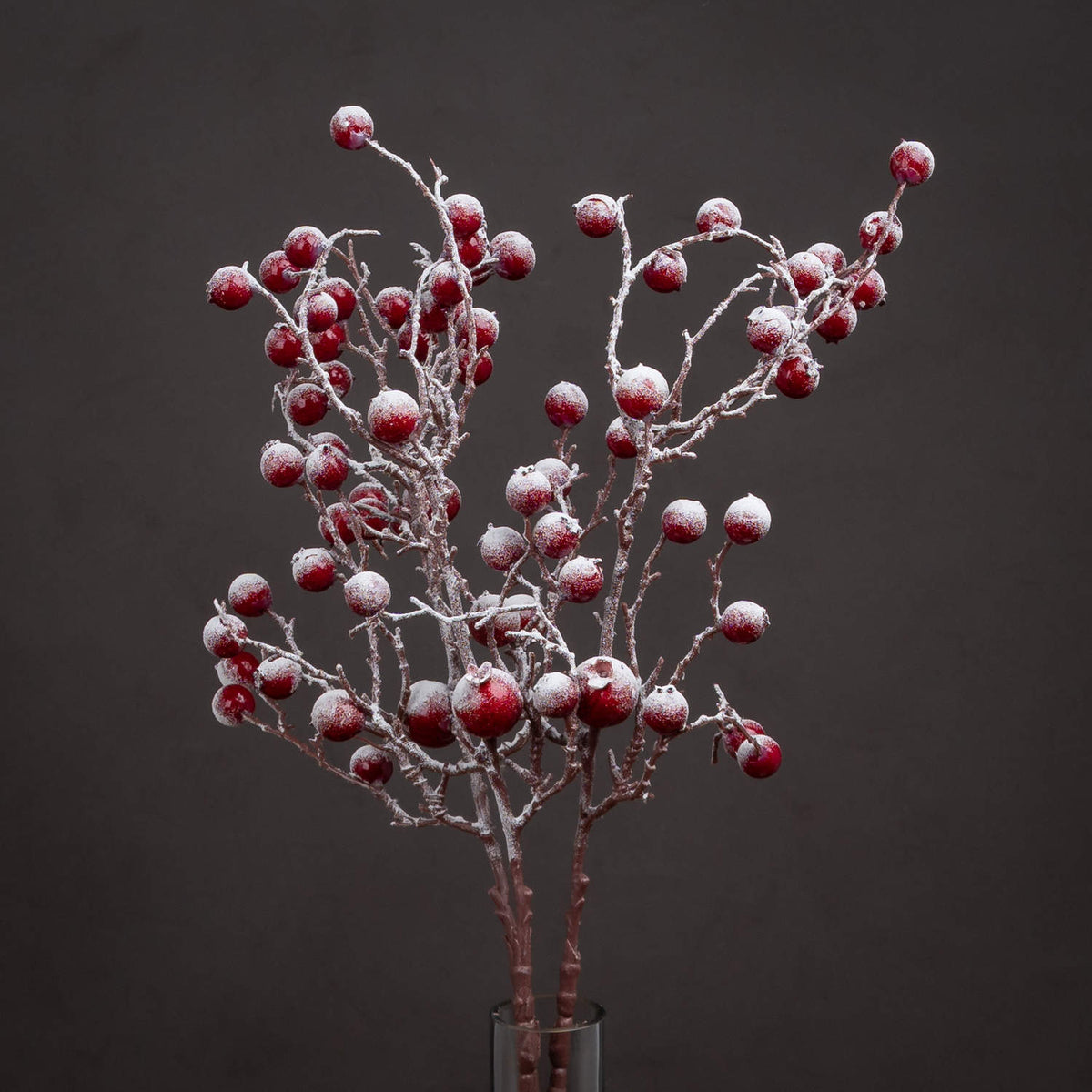 Large Red Festive Berry - image 1