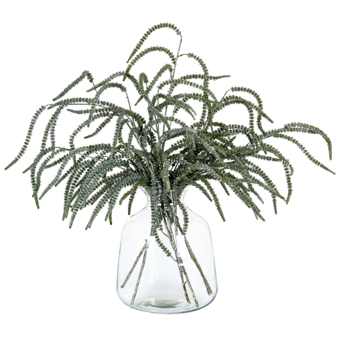 Festive Amaranthus - image 4