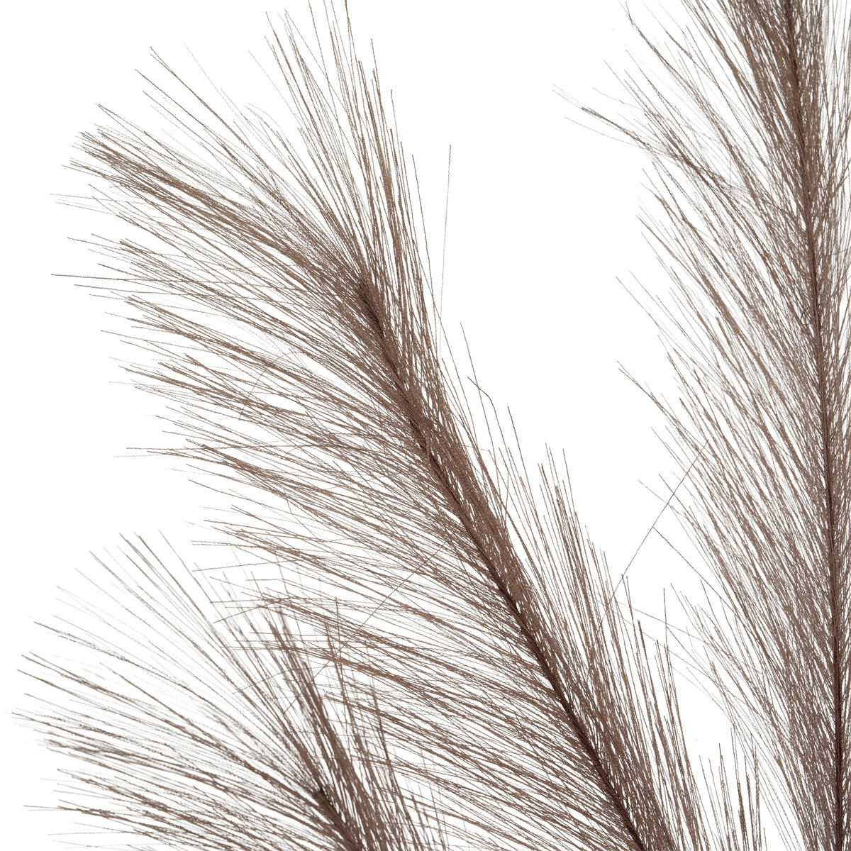 Grey Large Faux Pampas Grass Stem - image 4