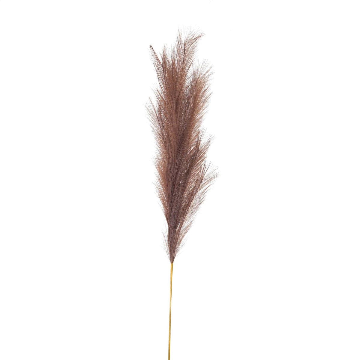 Taupe Large Faux Pampas Grass Stem - image 1