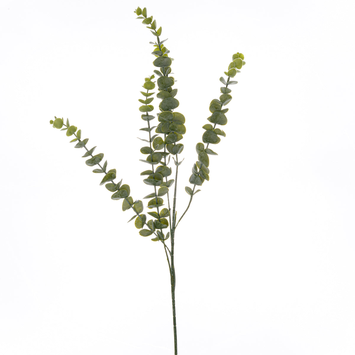 Gunnii Eucalyptus Spray - image 1
