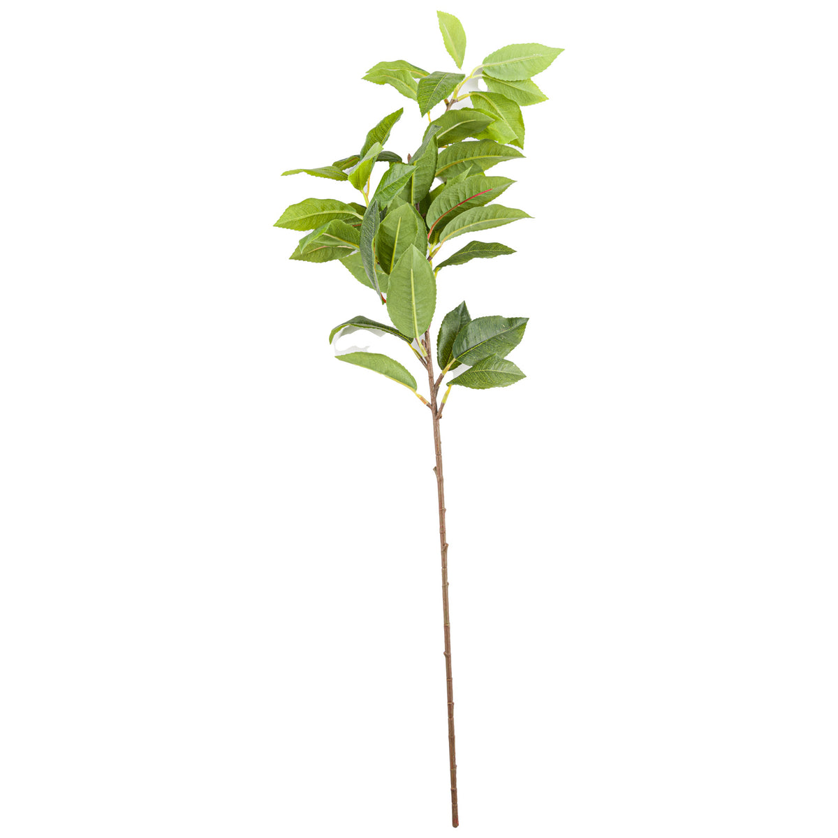 Laurel Leaf Spray - image 2