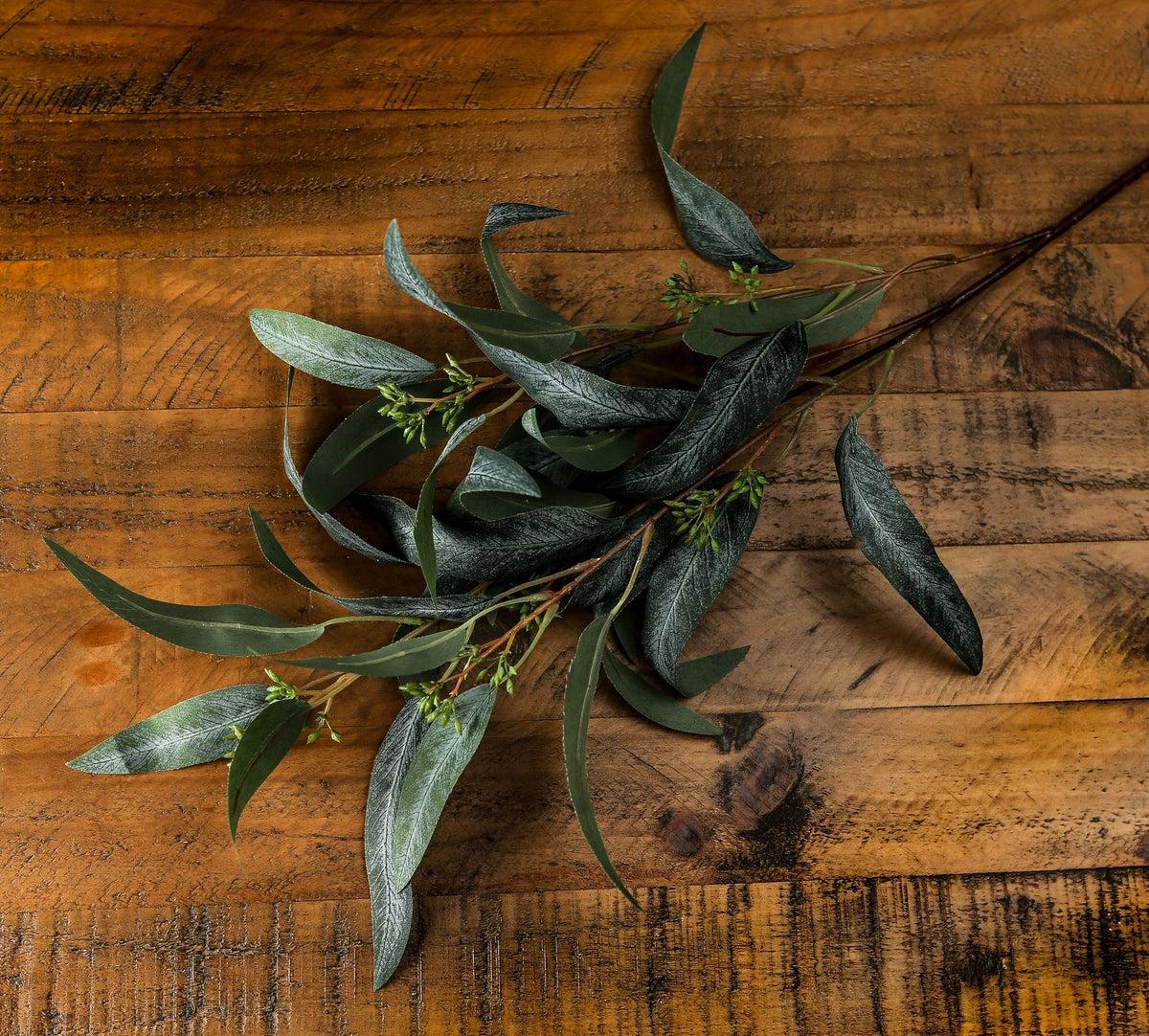 Seeded Eucalyptus Spray - image 2