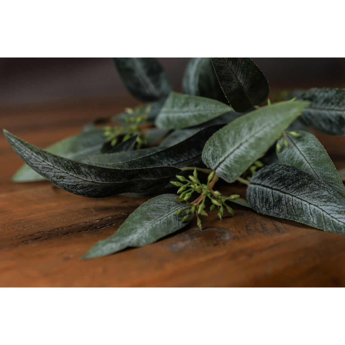 Seeded Eucalyptus Spray - image 3