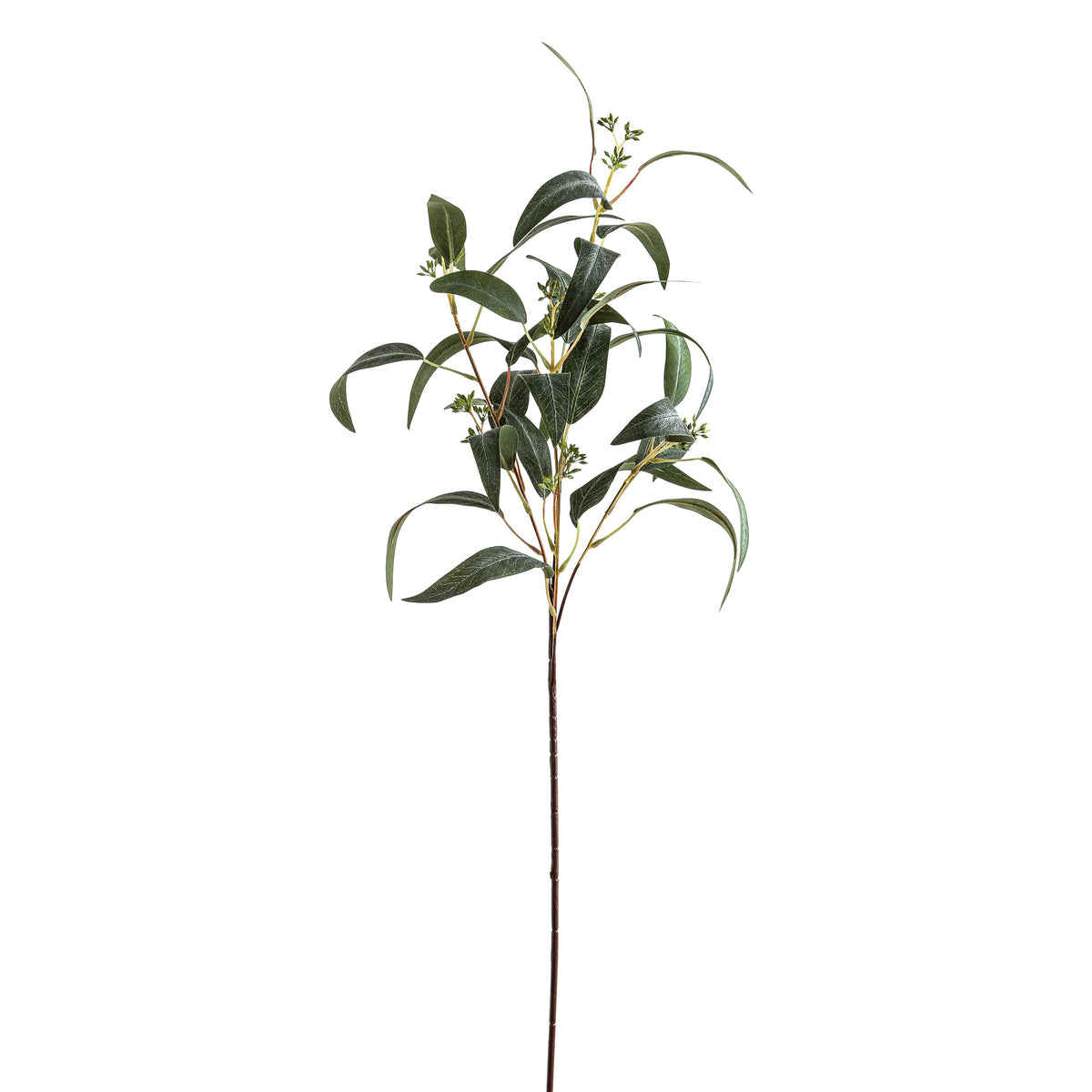 Seeded Eucalyptus Spray - image 1