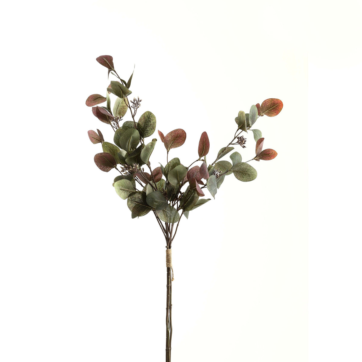 Variegated Eucalyptus Bouquet - image 2