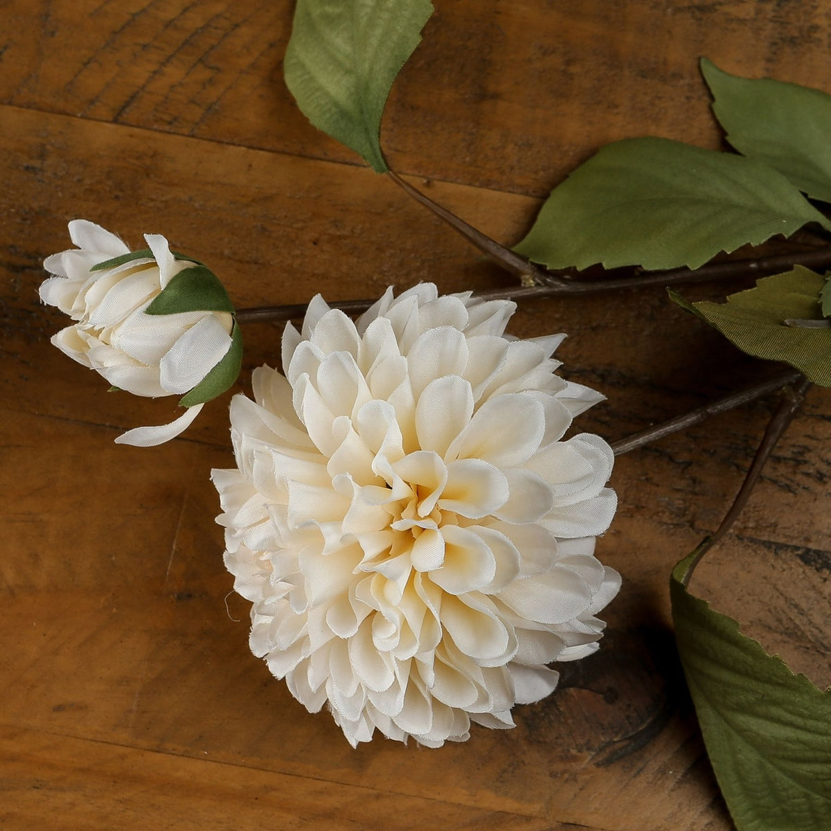 White Dahlia Stem - image 1