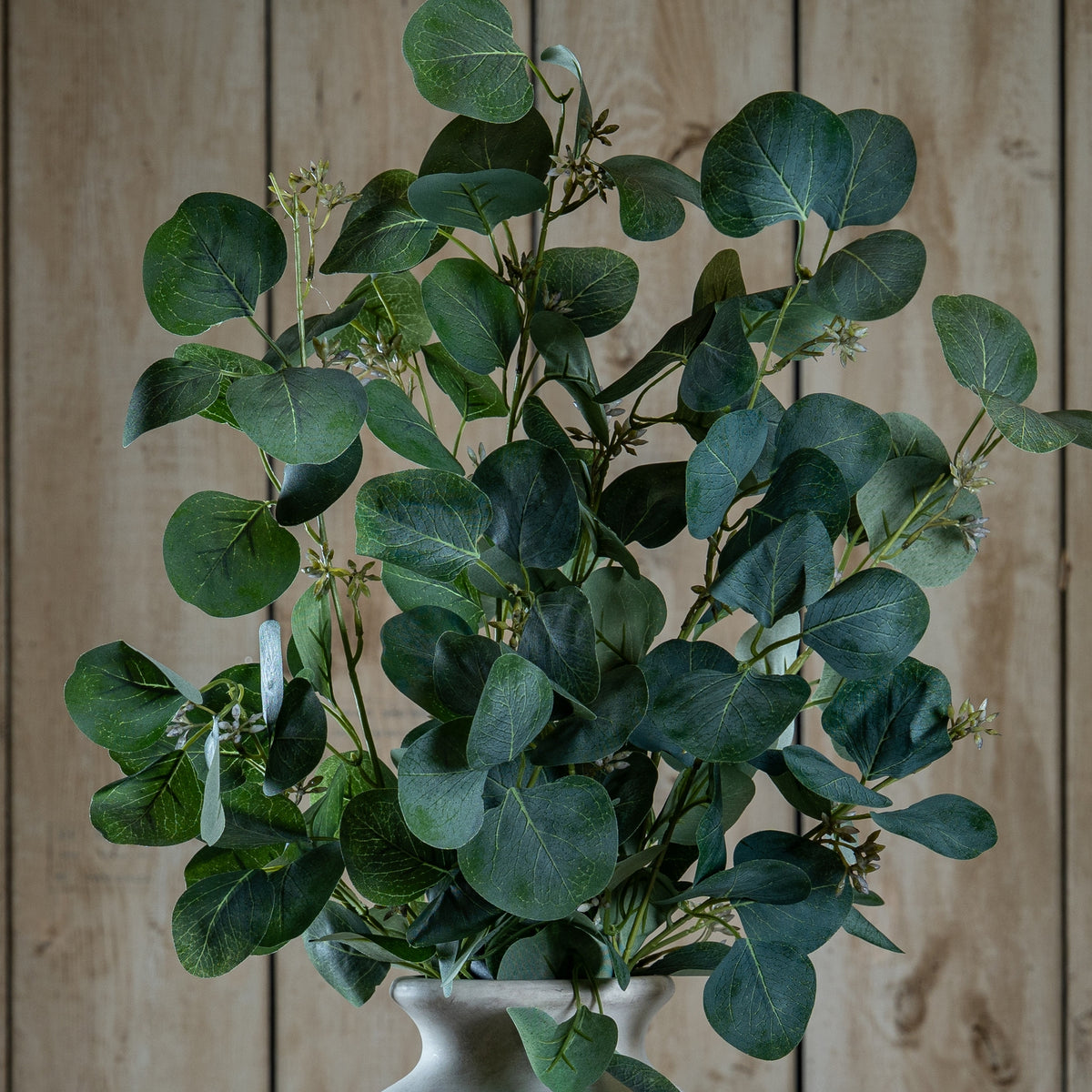 Eucalyptus Stem Spray - image 1