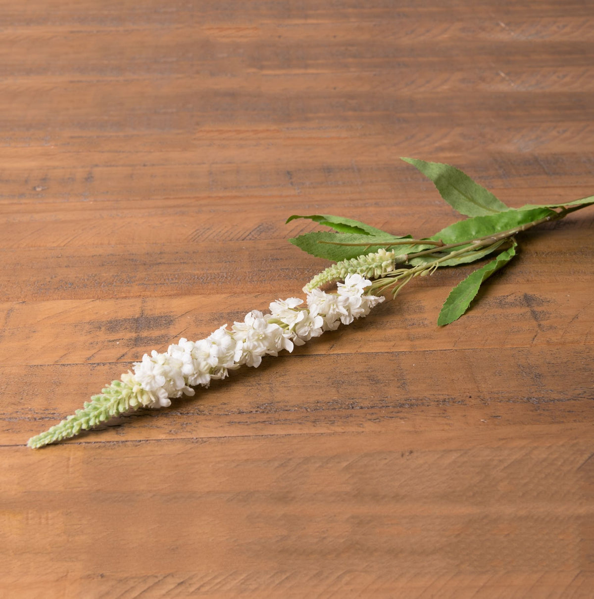 White Veronica Stem - image 1