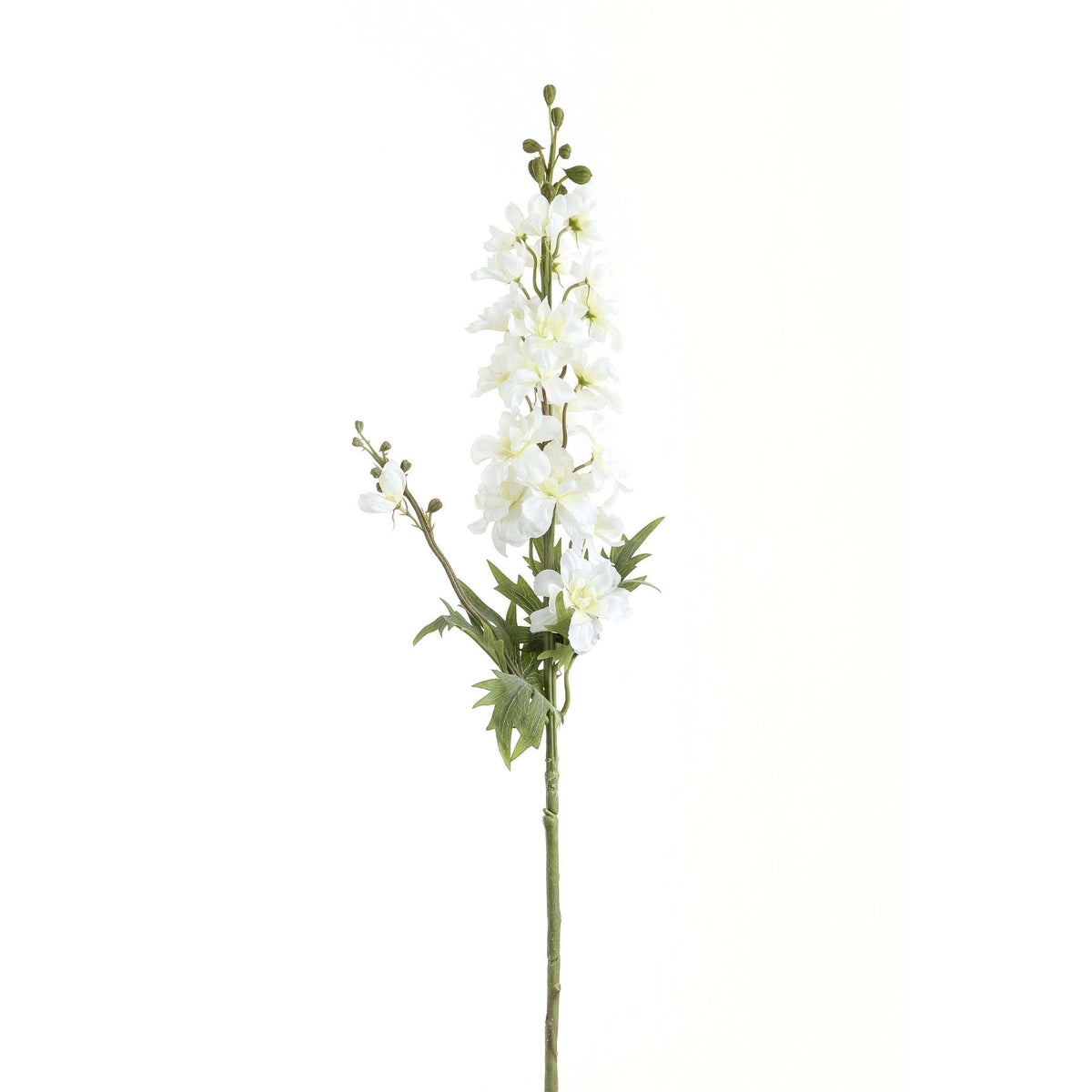 Tall White Delphinium Stem - image 2