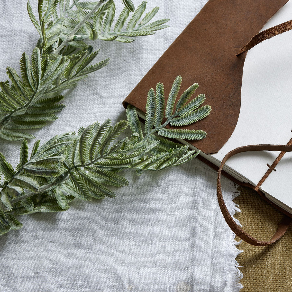 Silver Wattle Leaf - image 2
