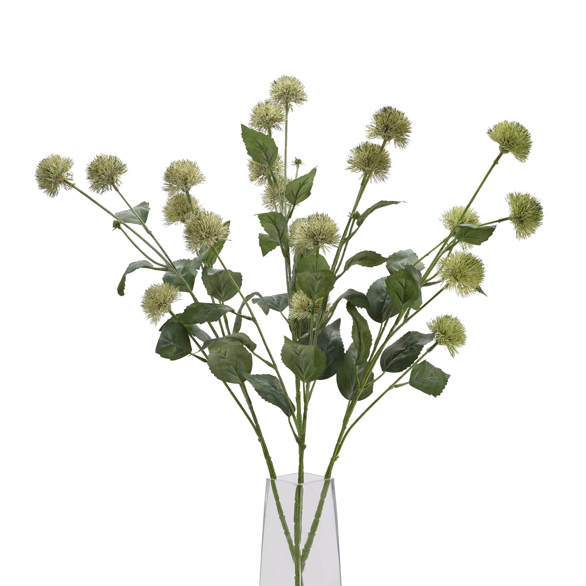 Thistle Globe Stem - image 3