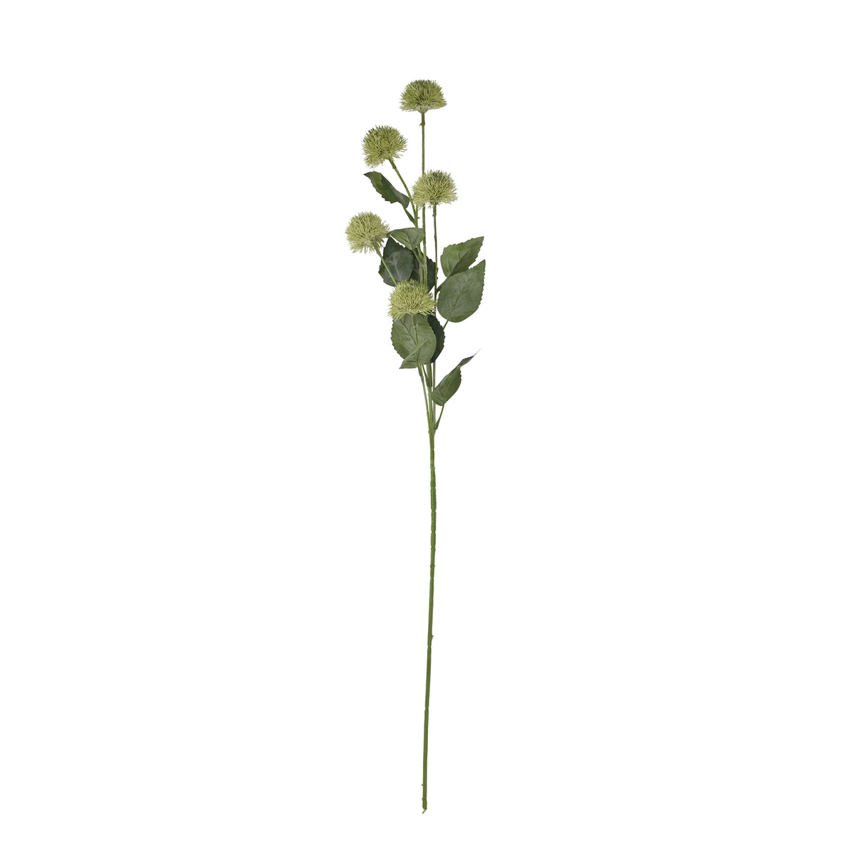 Thistle Globe Stem - image 4