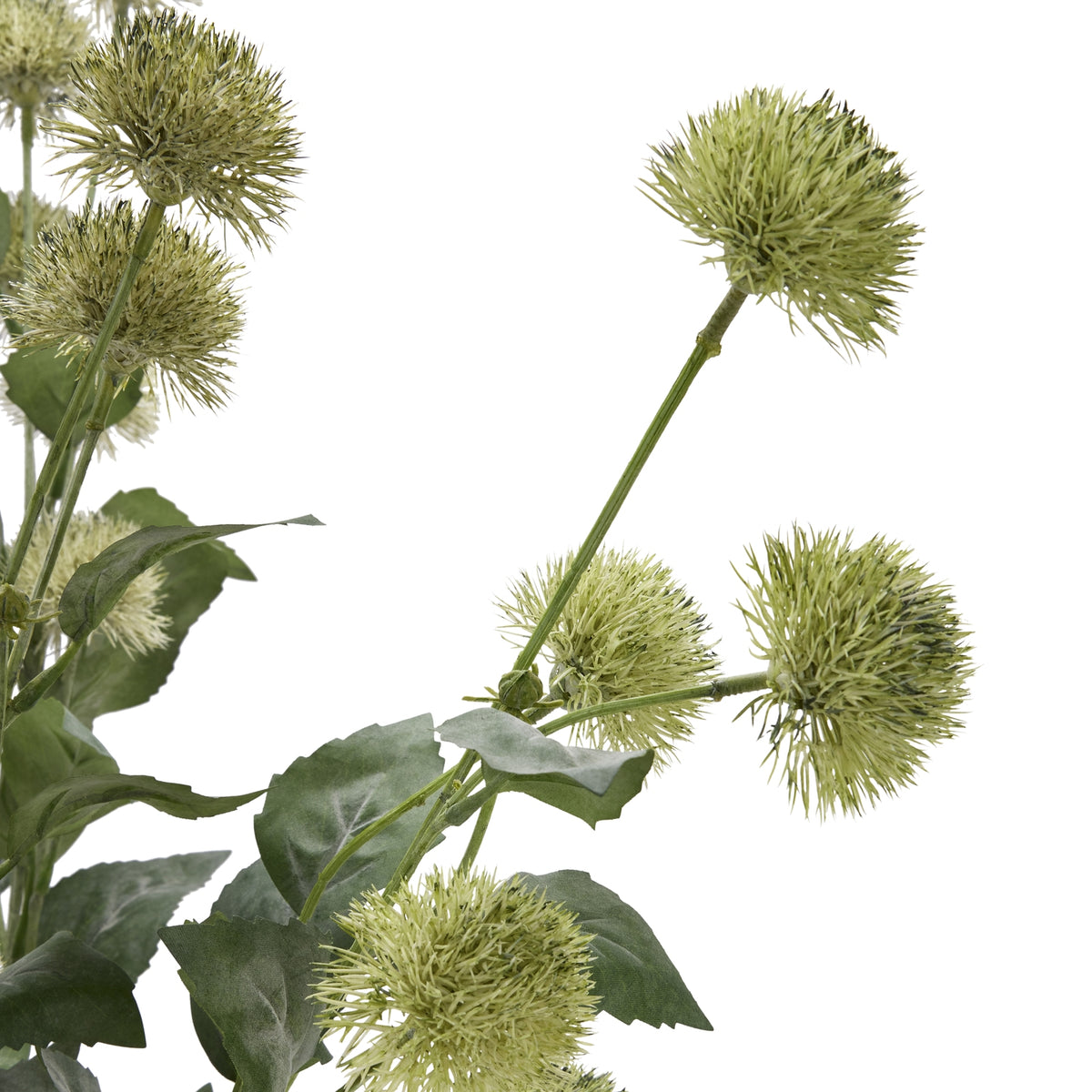 Thistle Globe Stem - image 5