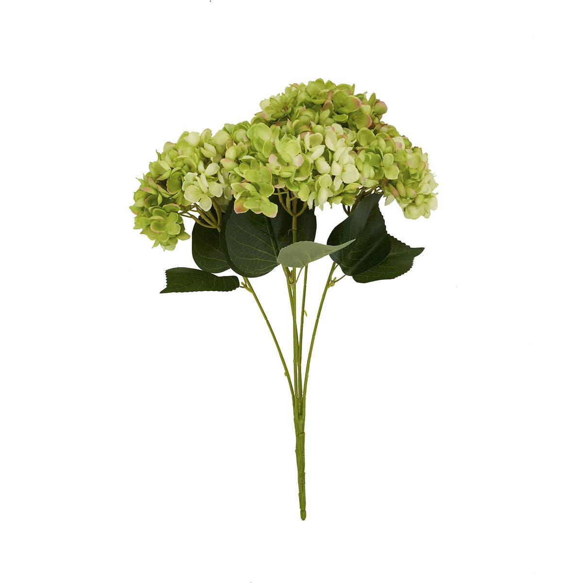 Green Hydrangea Bunch - image 4