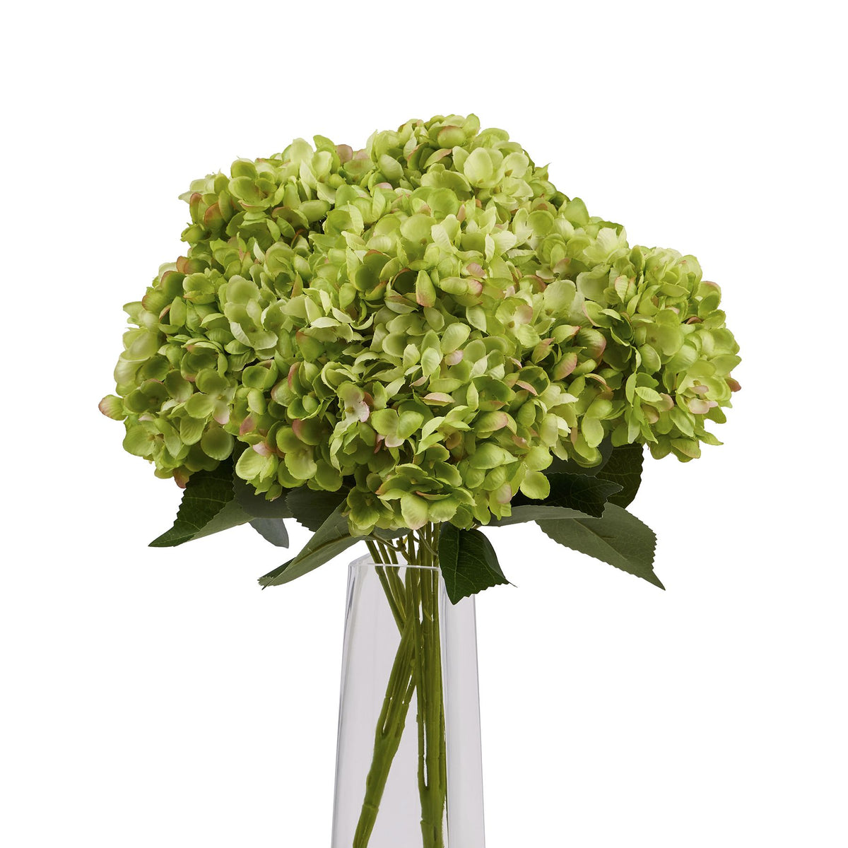 Green Hydrangea Bunch - image 5