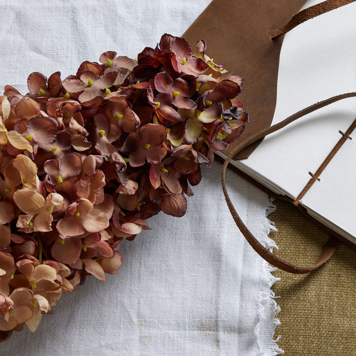 Burgundy Spear Hydrangea - image 2