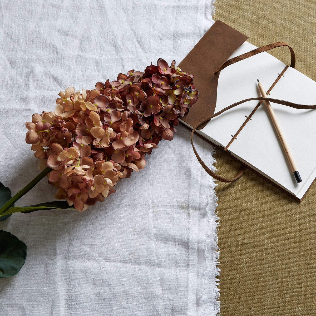 Burgundy Spear Hydrangea - image 1