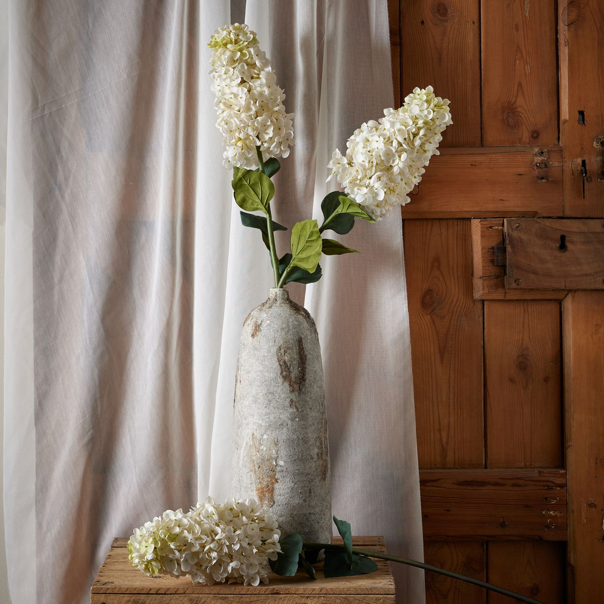 White  Spear Hydrangea - image 3