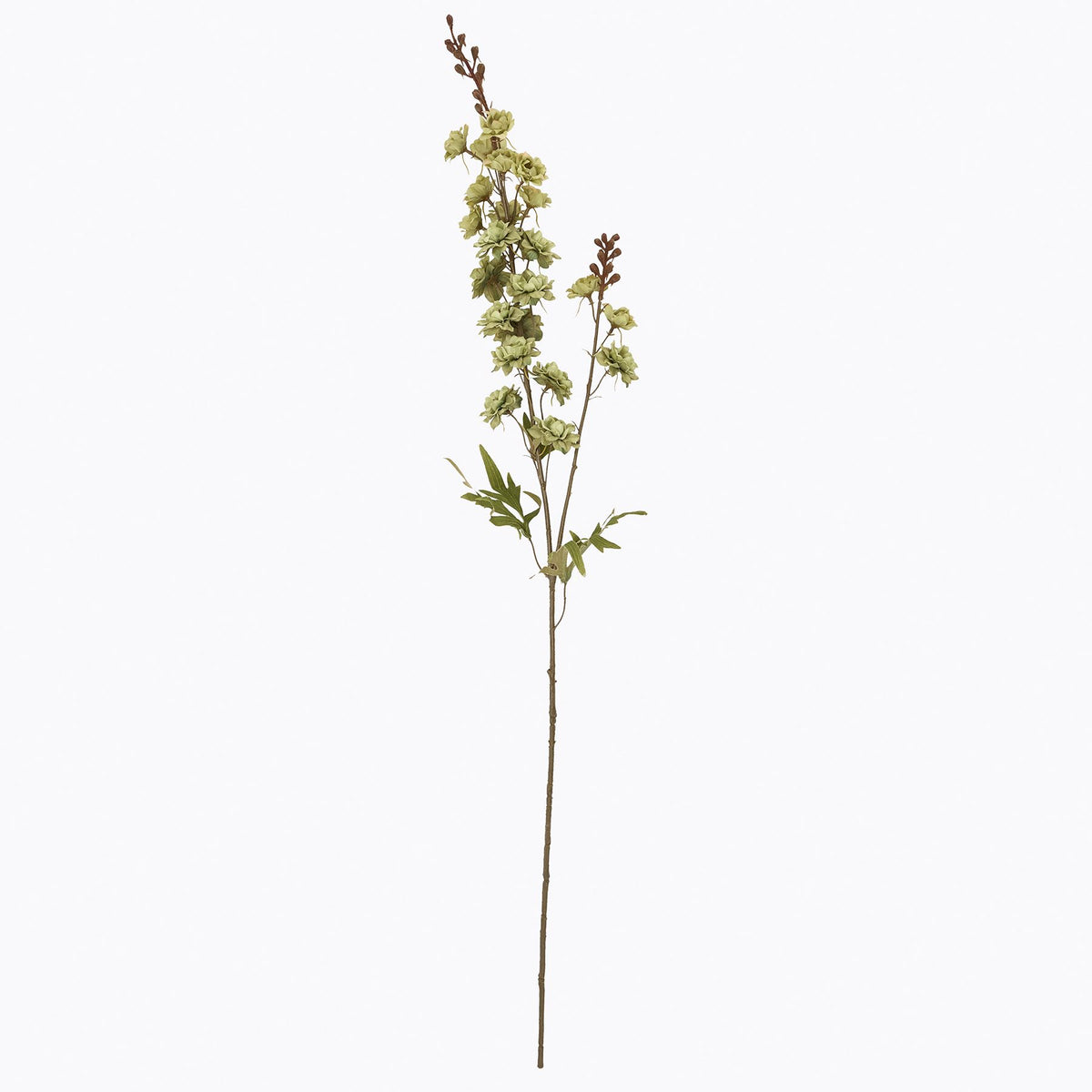 Tall Green Hops Stem - image 4