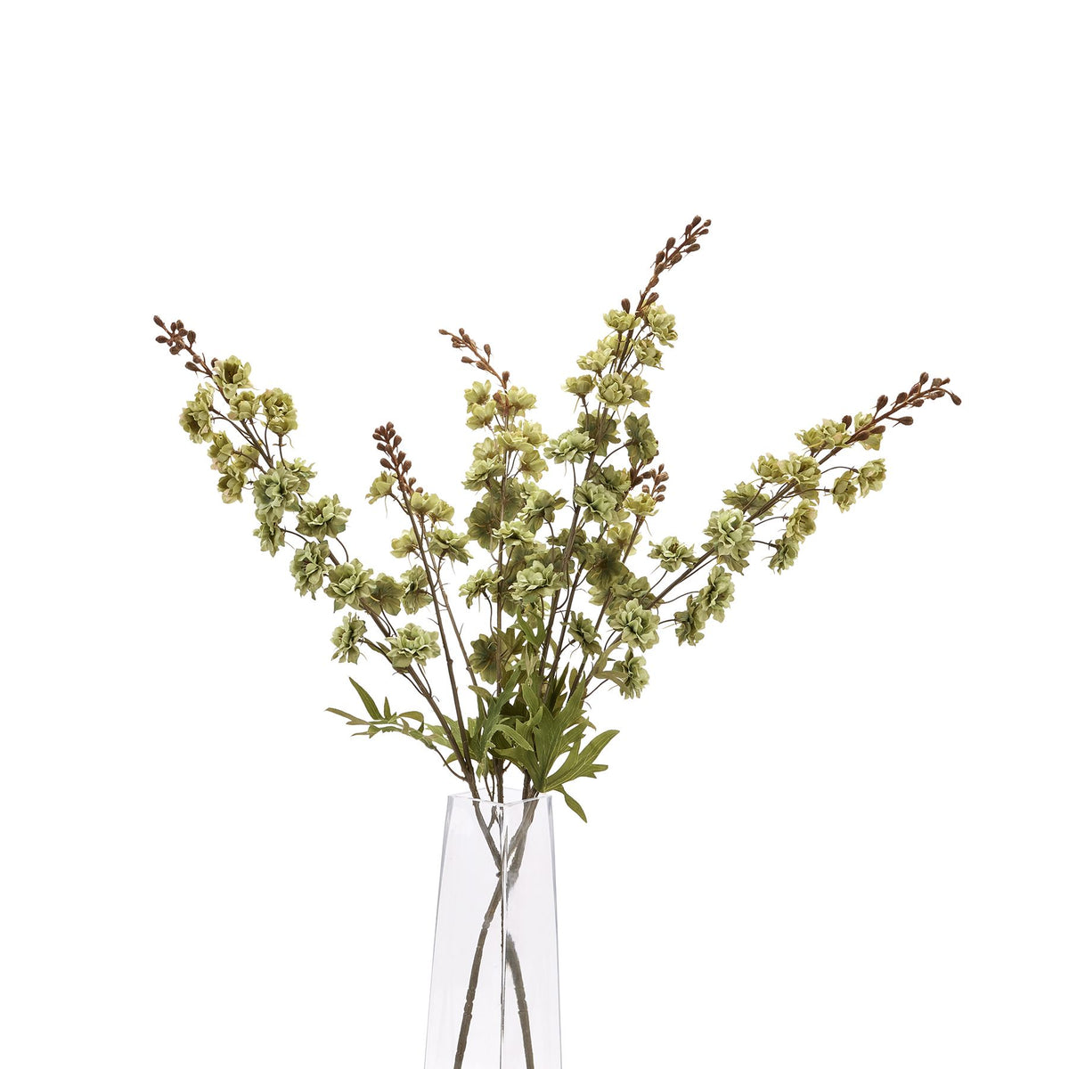 Tall Green Hops Stem - image 5