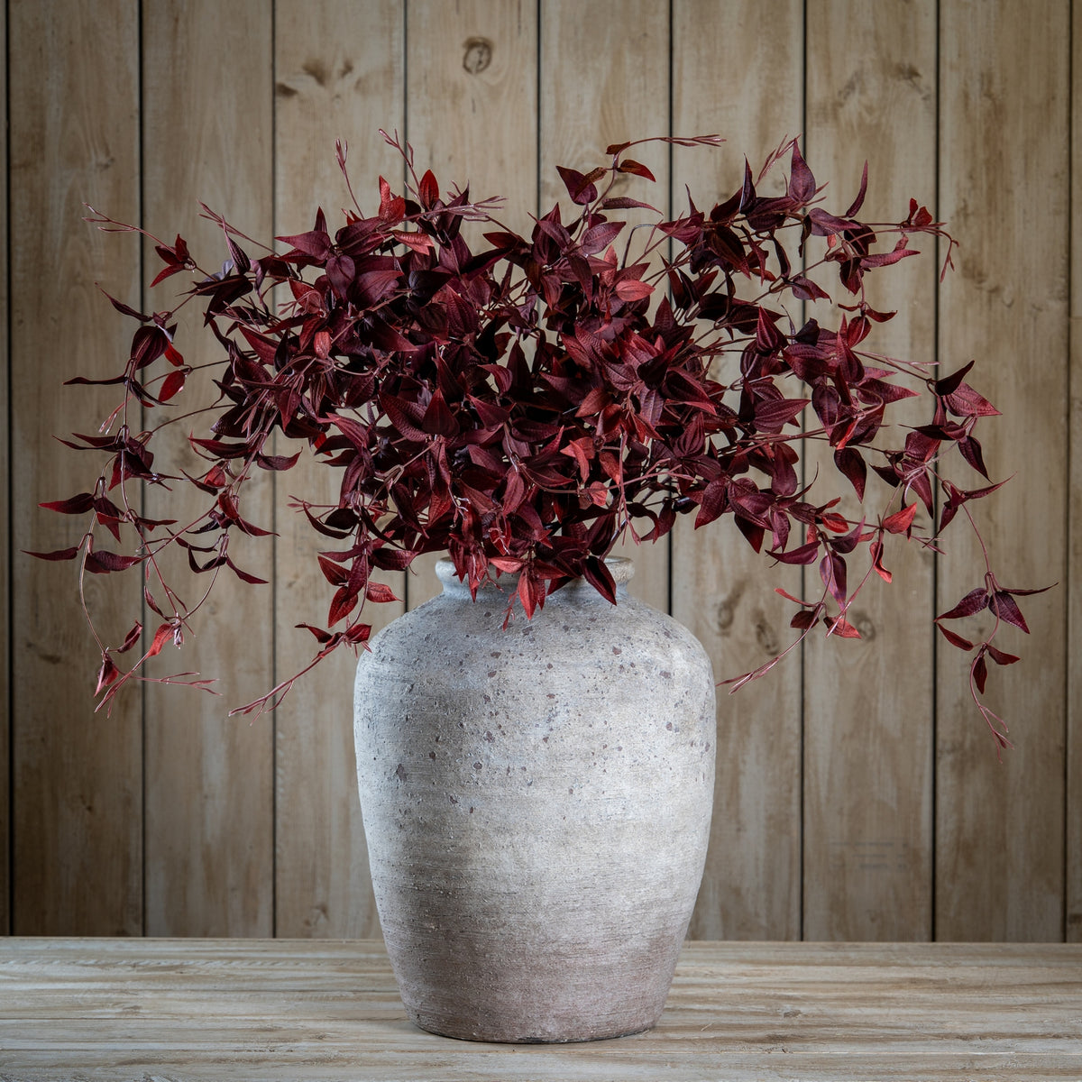 Ornamental Burgundy Leaf - image 2