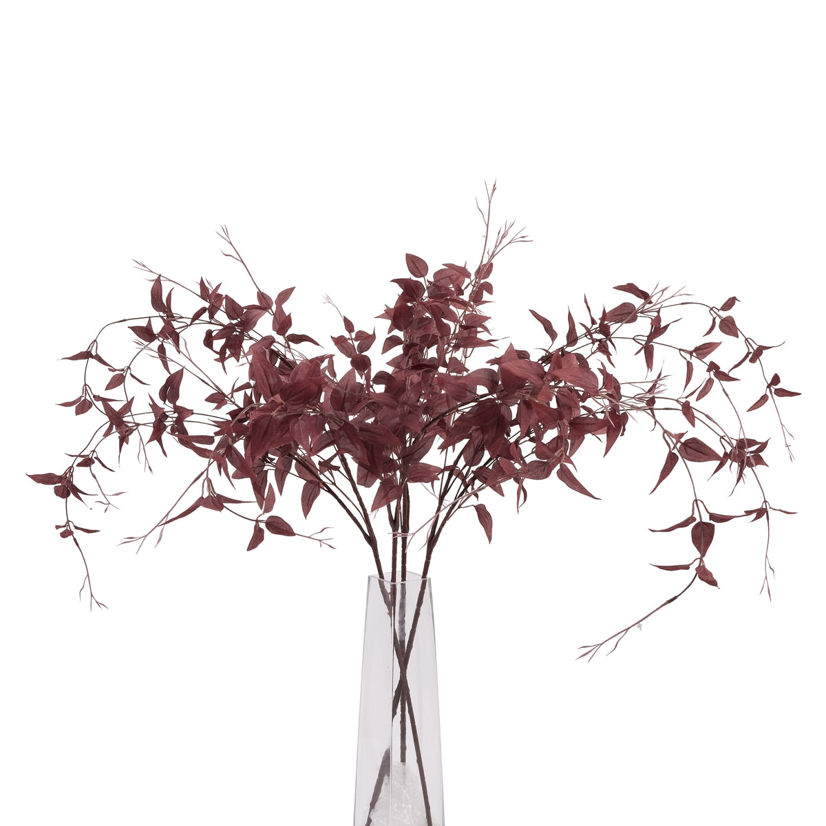 Ornamental Burgundy Leaf - image 3