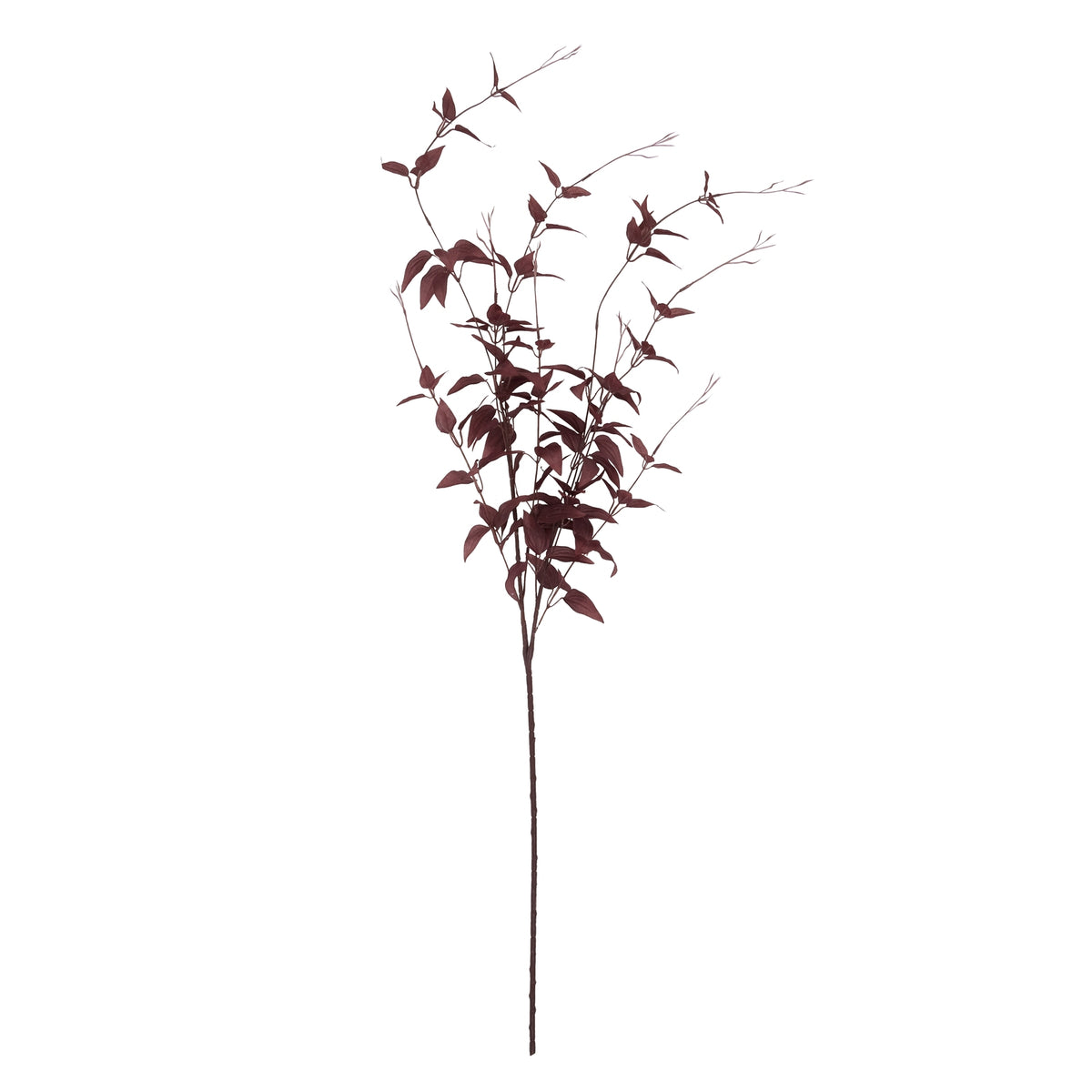 Ornamental Burgundy Leaf - image 4
